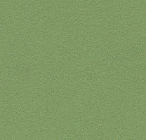 Forbo Marmoleum Bulletin Board 2213 baby lettuce фото 1 | FLOORDEALER